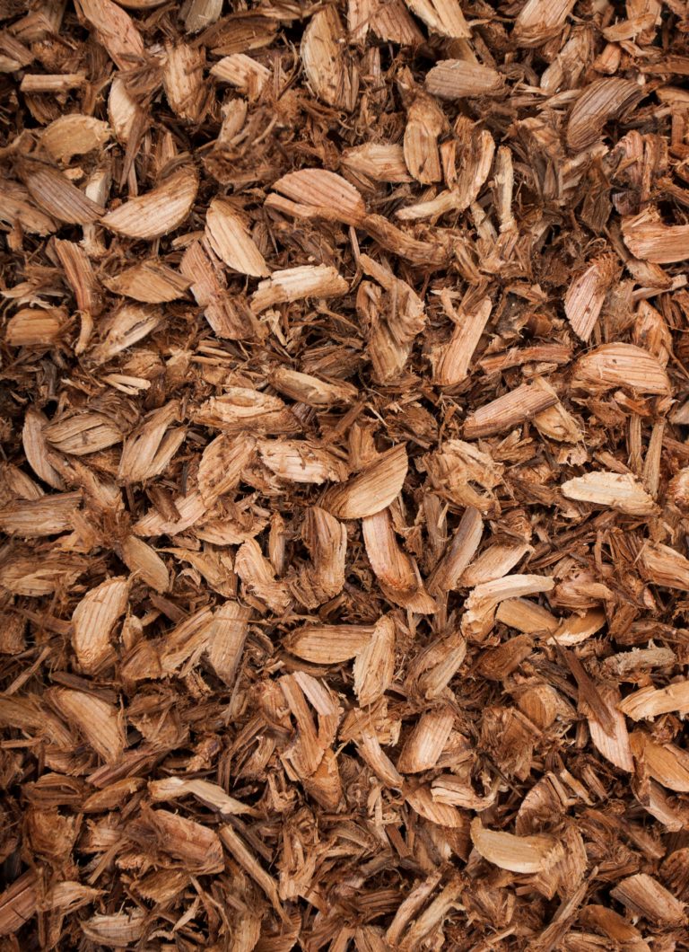 background-texture-wood-chips-from-a-screw-tipped-2021-12-03-21-57-45-utc